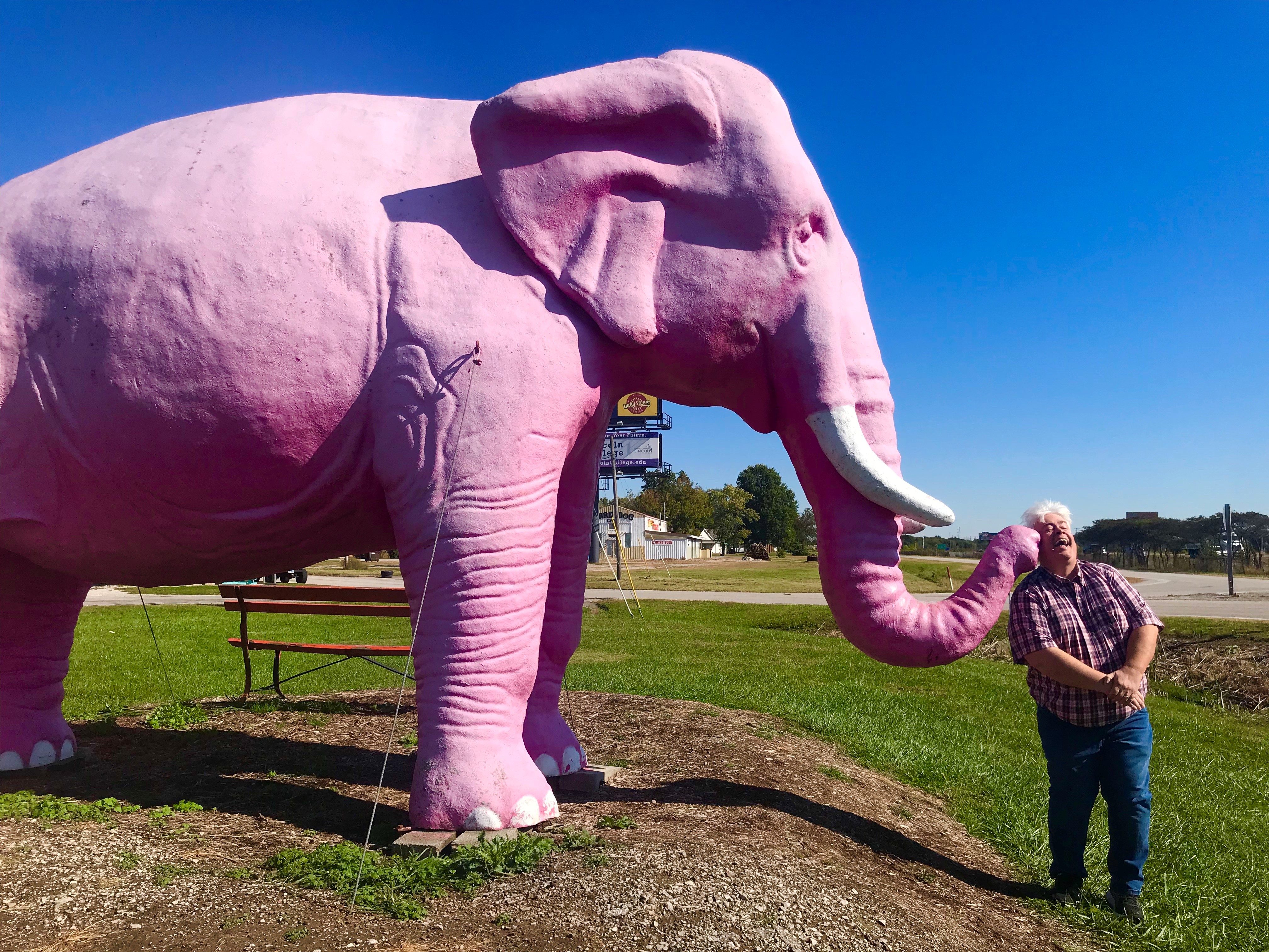 Elephant перевести. Пинк Елепхант. Pink Elephant Antique Mall. Dumbo Pink Elephants.