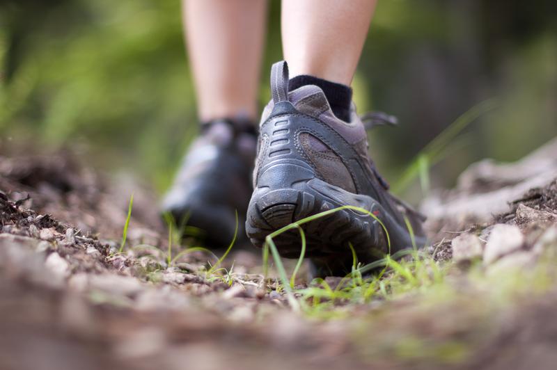 WOODS WALK