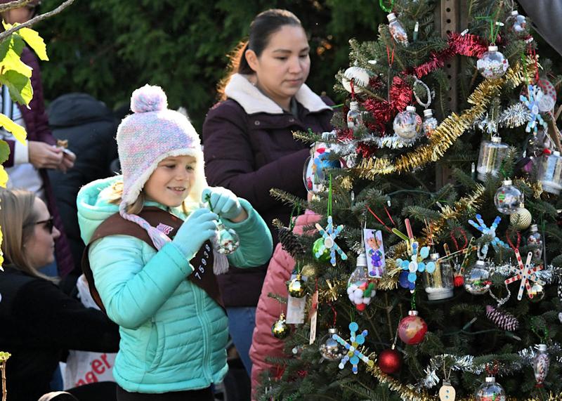 TREE TRIM