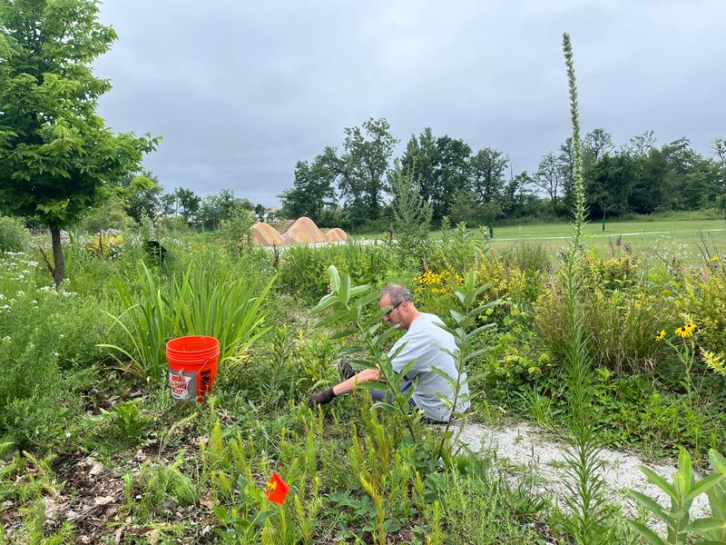 GREEN LAKE GARDENING