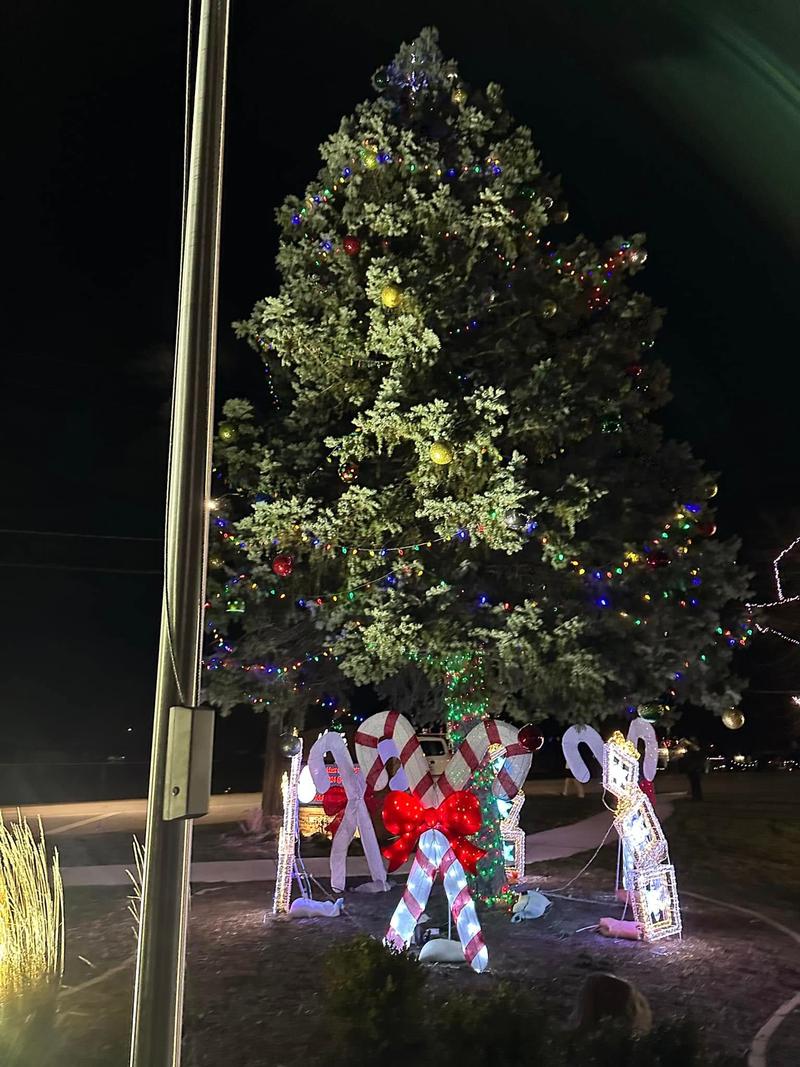 TREE LIGHTING CEREMONY