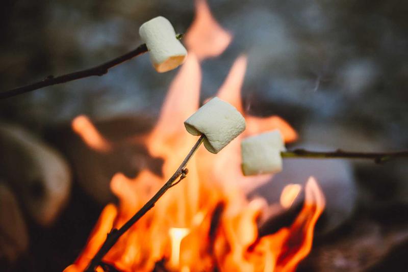 CAROLING CAMPFIRE: PLUM CREEK NATURE CENTER