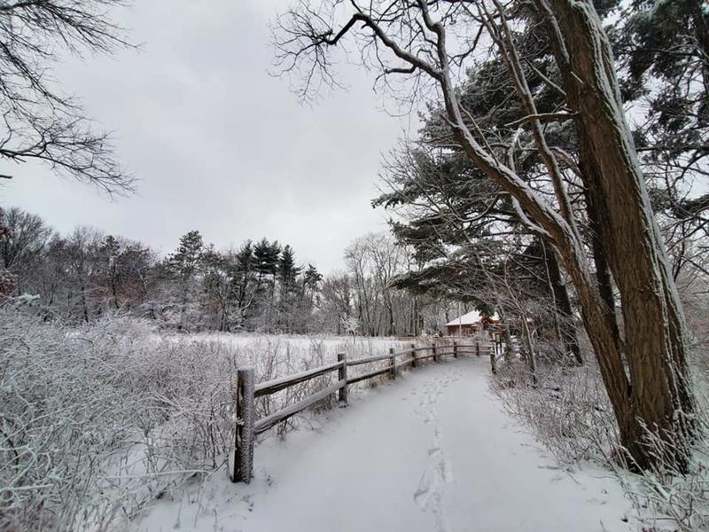 LIVE HEALTHY, DISCOVER NATURE! WALK