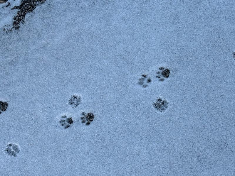 WEE WONDERS: SNOW