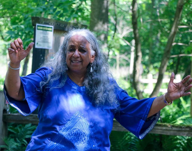IF TREES COULD TALK: STORIES OF THE UNDERGROUND RAILROAD