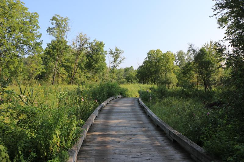 LIVE HEALTHY, DISCOVER NATURE! WALK