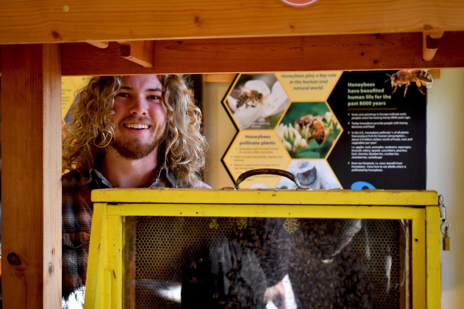 BE A BEEKEEPER CLASS