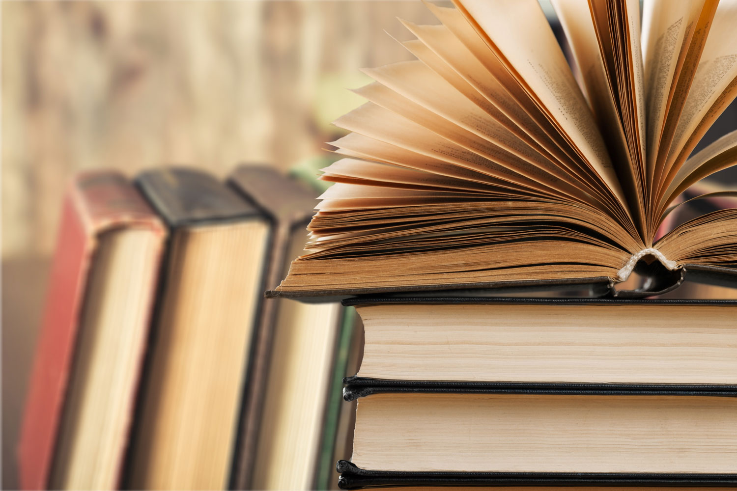 BOOK CLUB: ‘THE BACKYARD BIRD CHRONICLES’ BY AMY TAN