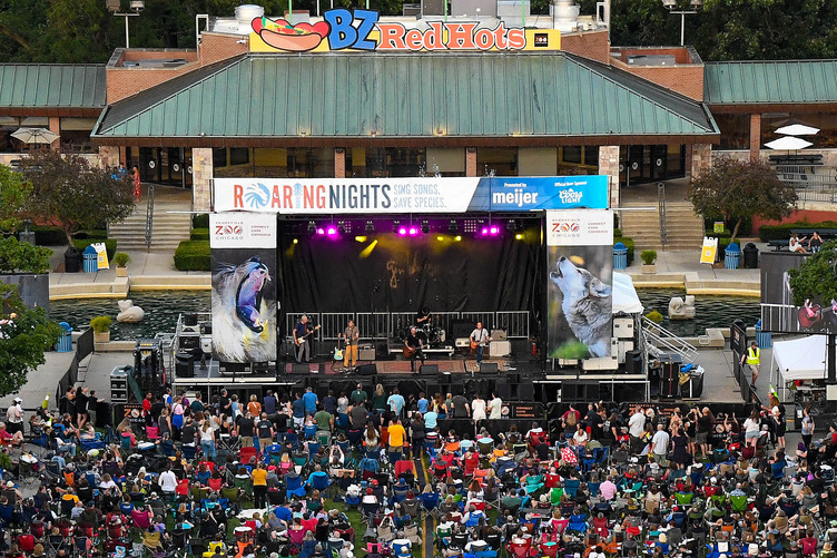 ROARING NIGHTS - MELISSA ETHERIDGE: RISE