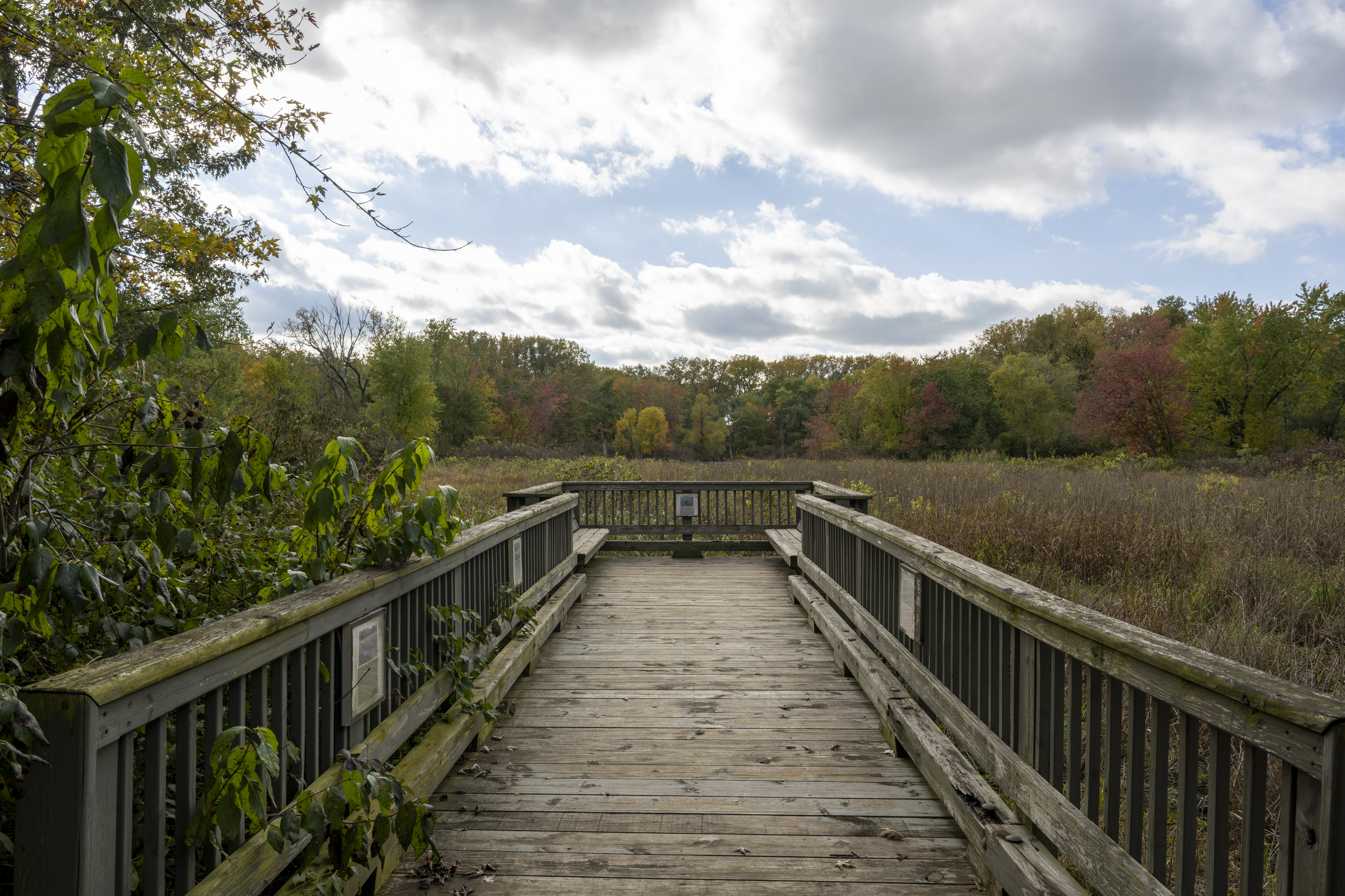 OAK-TOBER FALL COLORS WALK