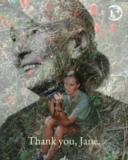 CELEBRATE JANE GOODALL'S BIRTHDAY WITH #GOODALLDAY