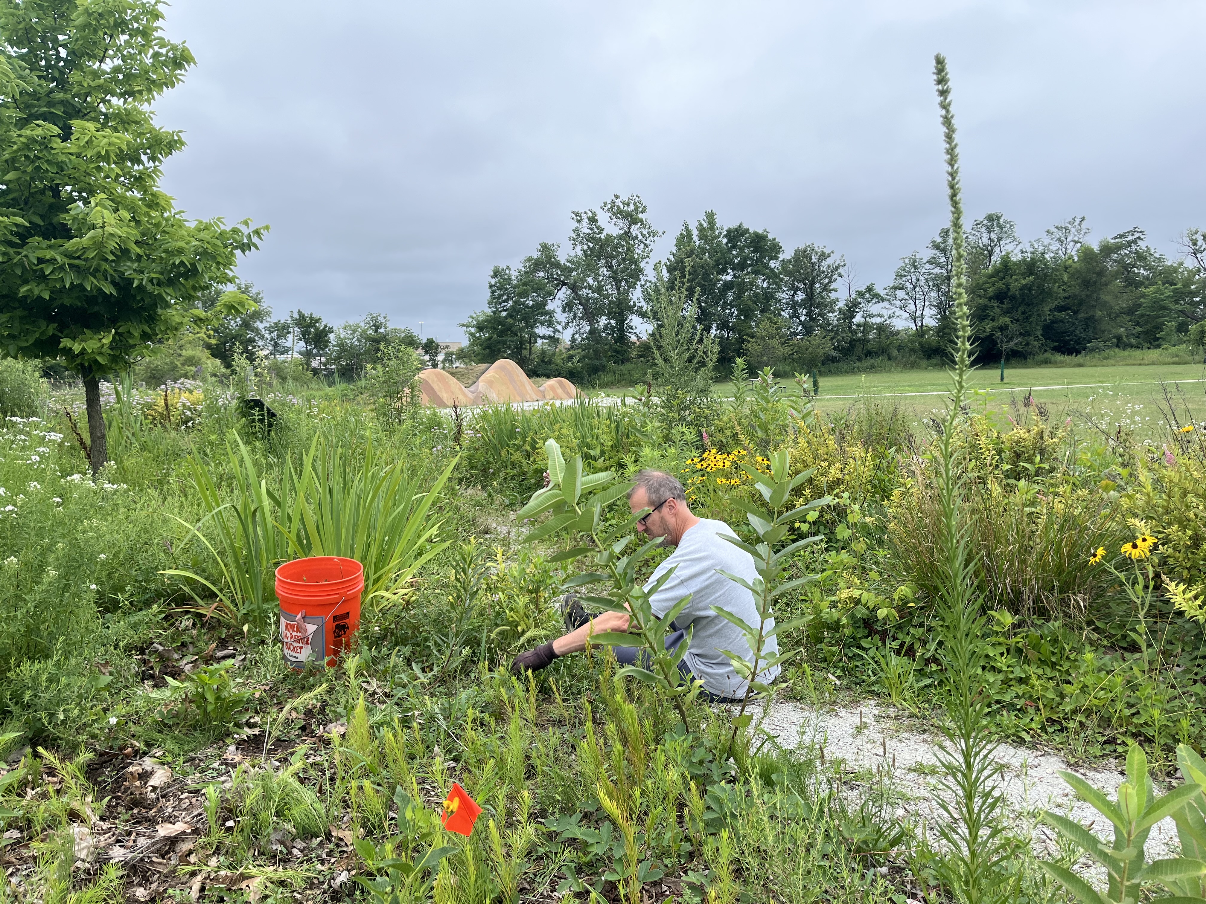 GREEN LAKE GARDENING
