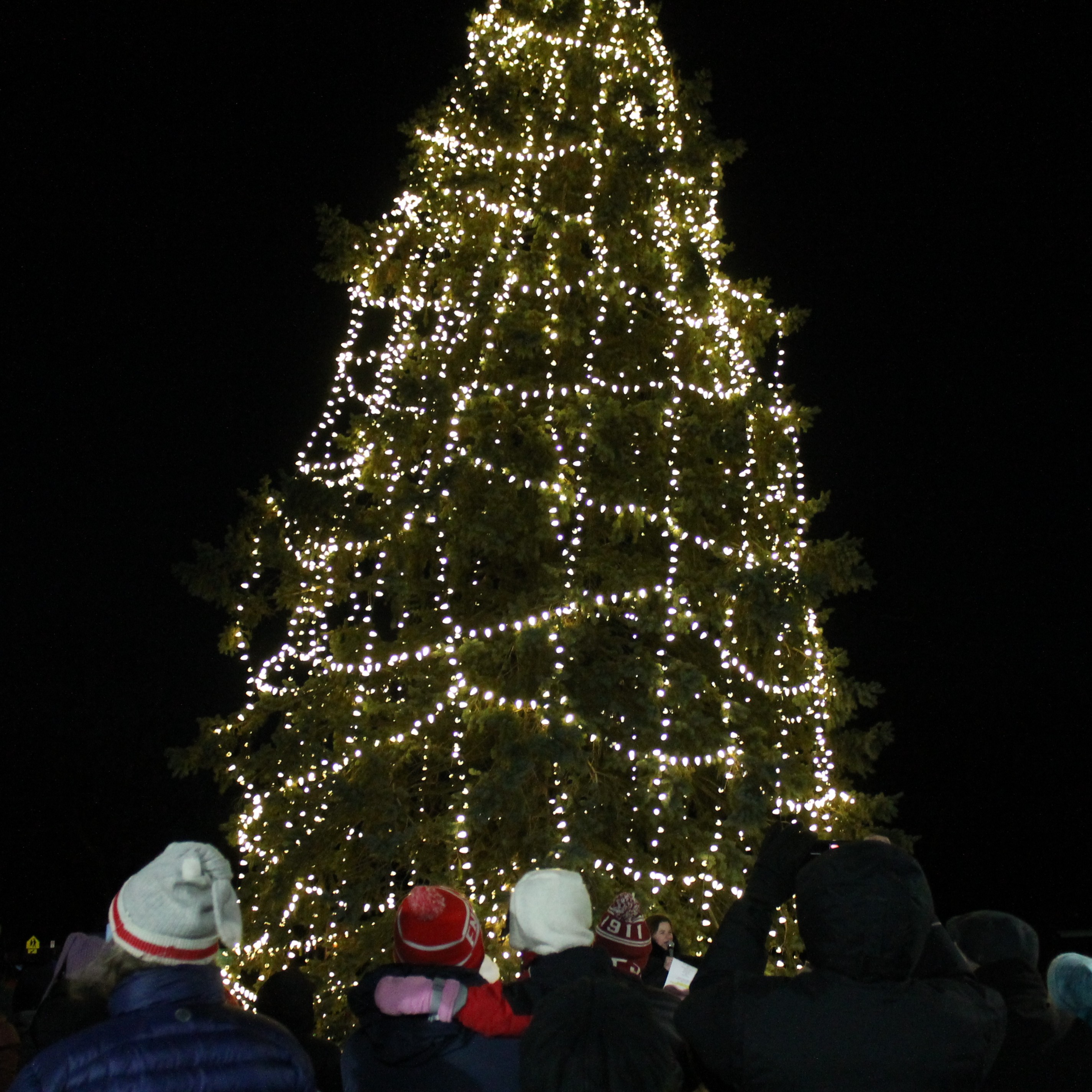 TREE LIGHTING