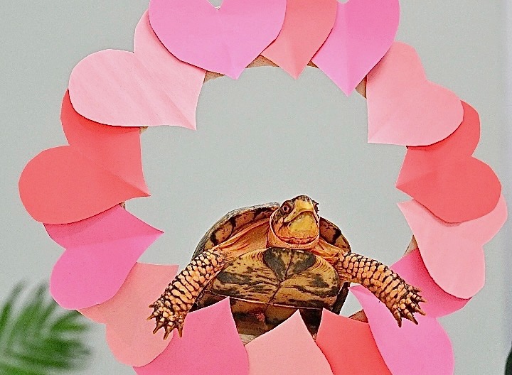 VALENTINE'S EVE WALK