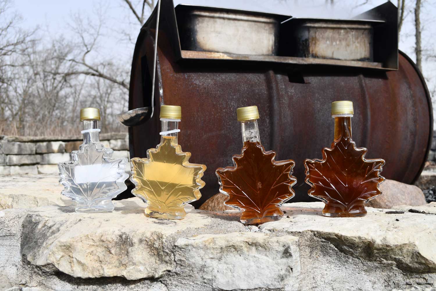 MAPLE SYRUP MAGIC