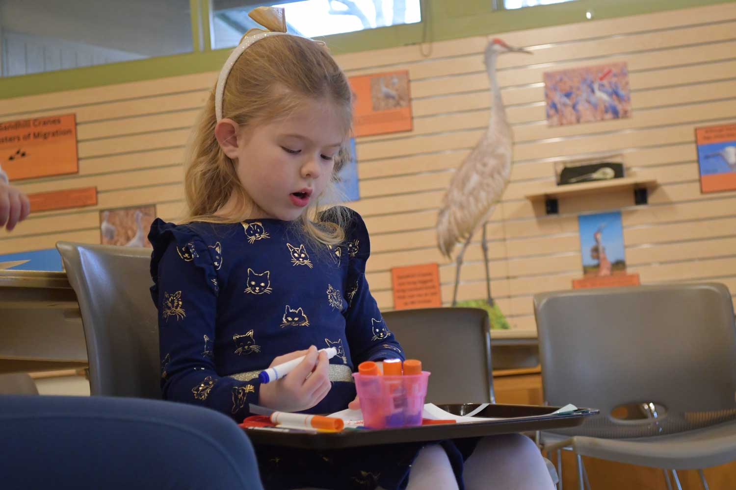 NATURE PLAY DAY: DUCKS IN A ROW