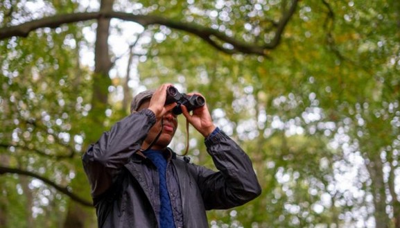 BE A BETTER BIRDER: INTERMEDIATE BIRD ID