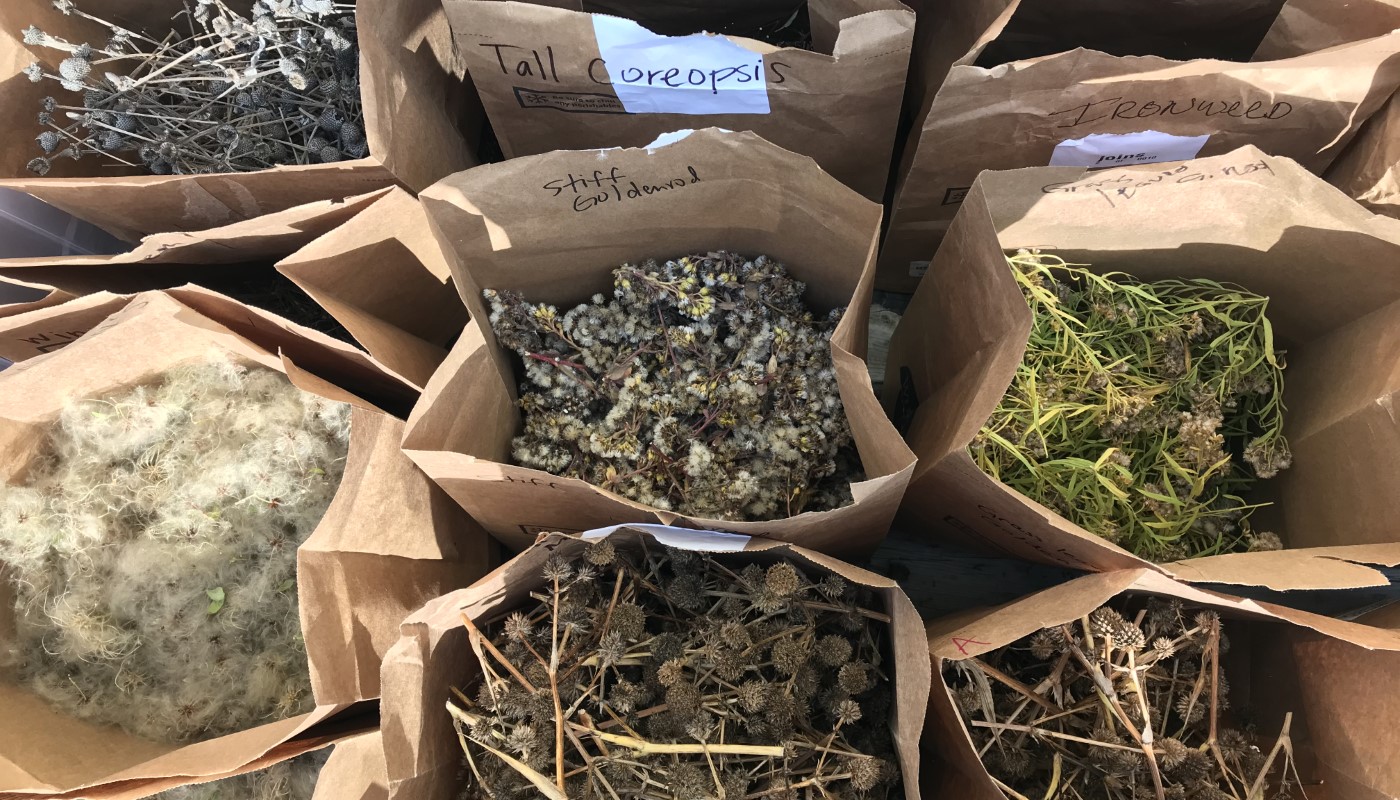 NATIVE SEED STARTER POTS