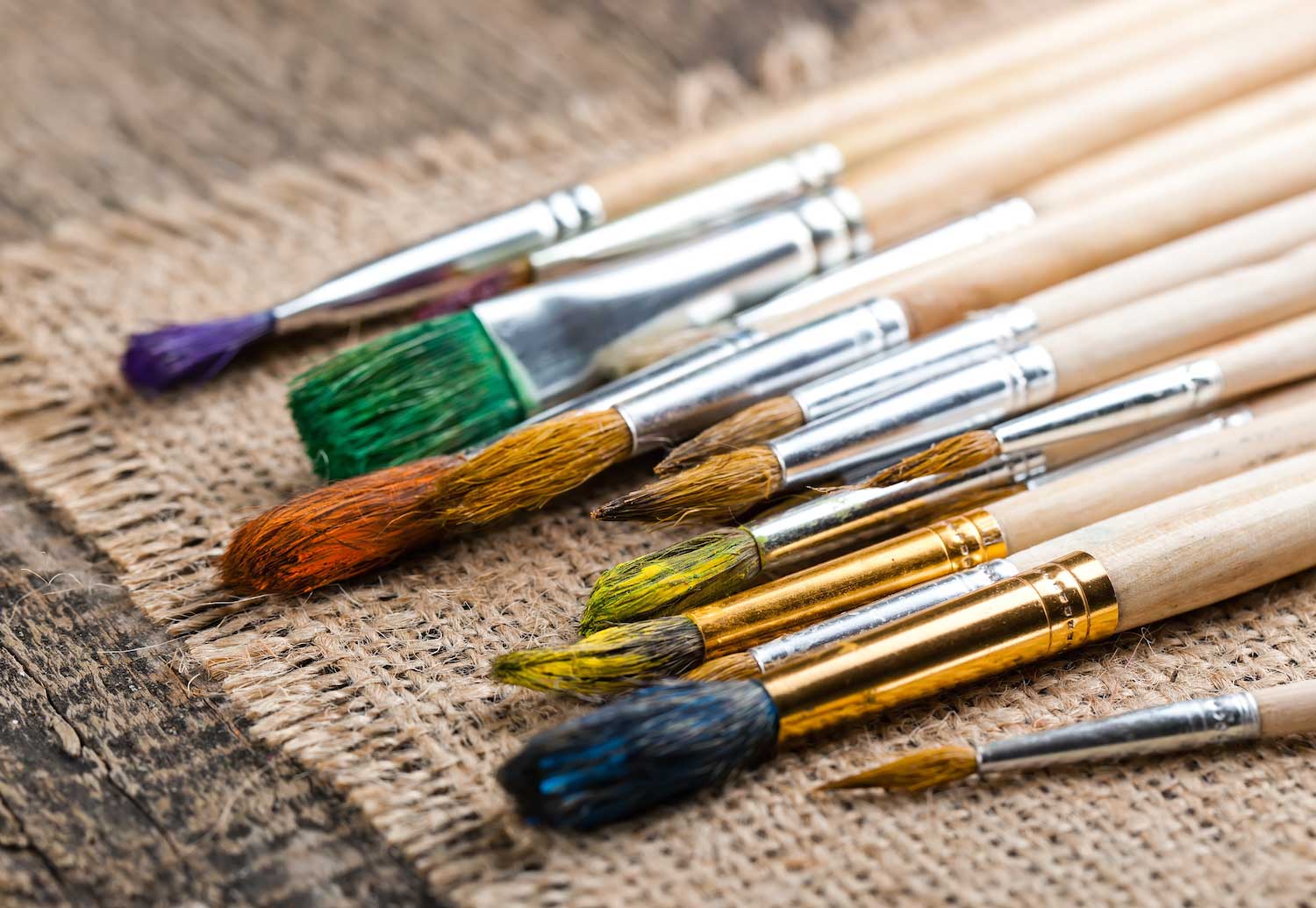 NATURE'S PALETTE COLOR DISCOVERY (W-SU)