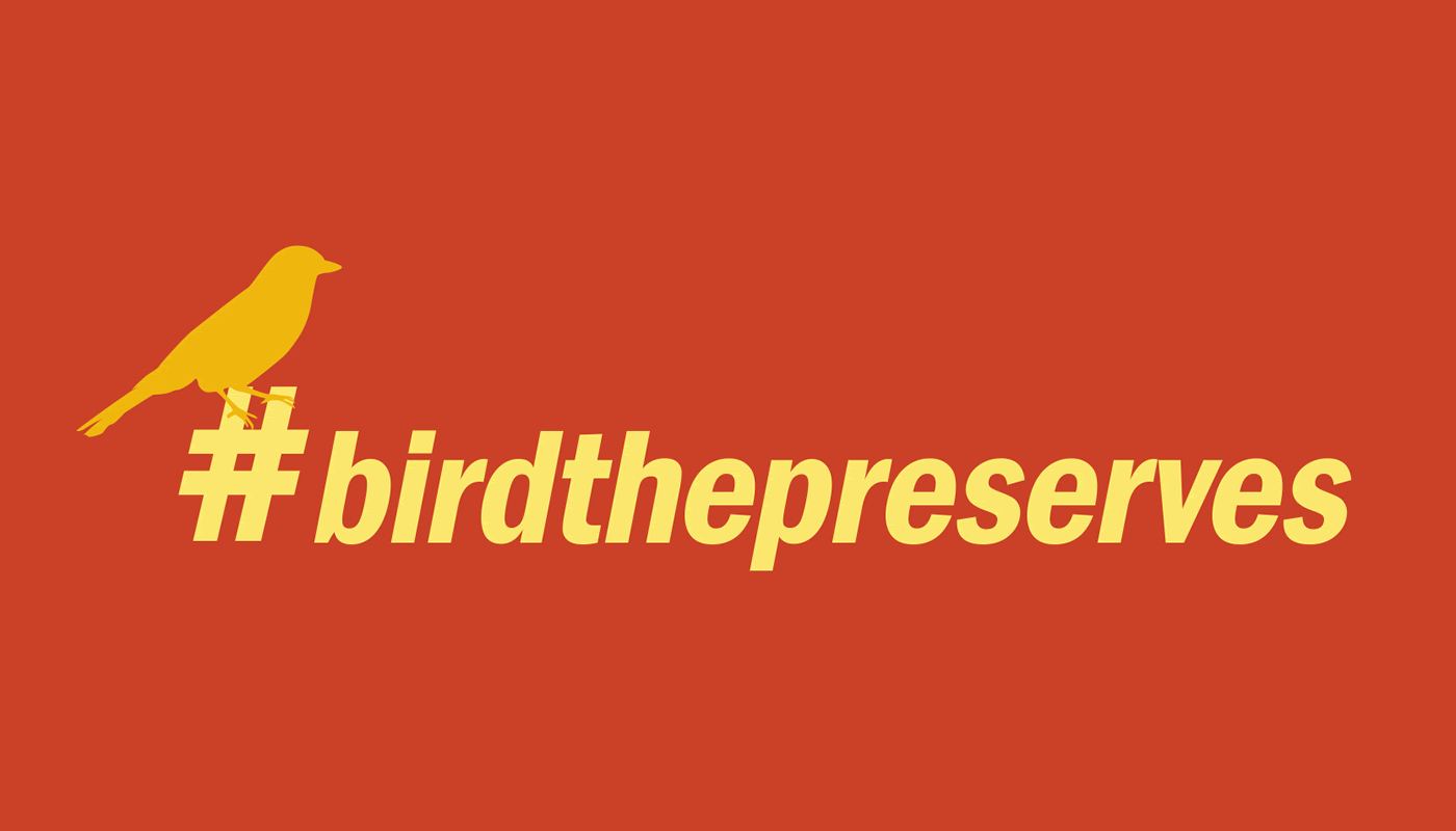 BE A BETTER BIRDER: BIRDING ETHICS
