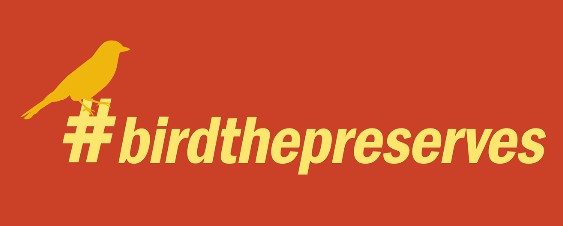 BE A BETTER BIRDER: GETTING STARTED (VIRTUAL)