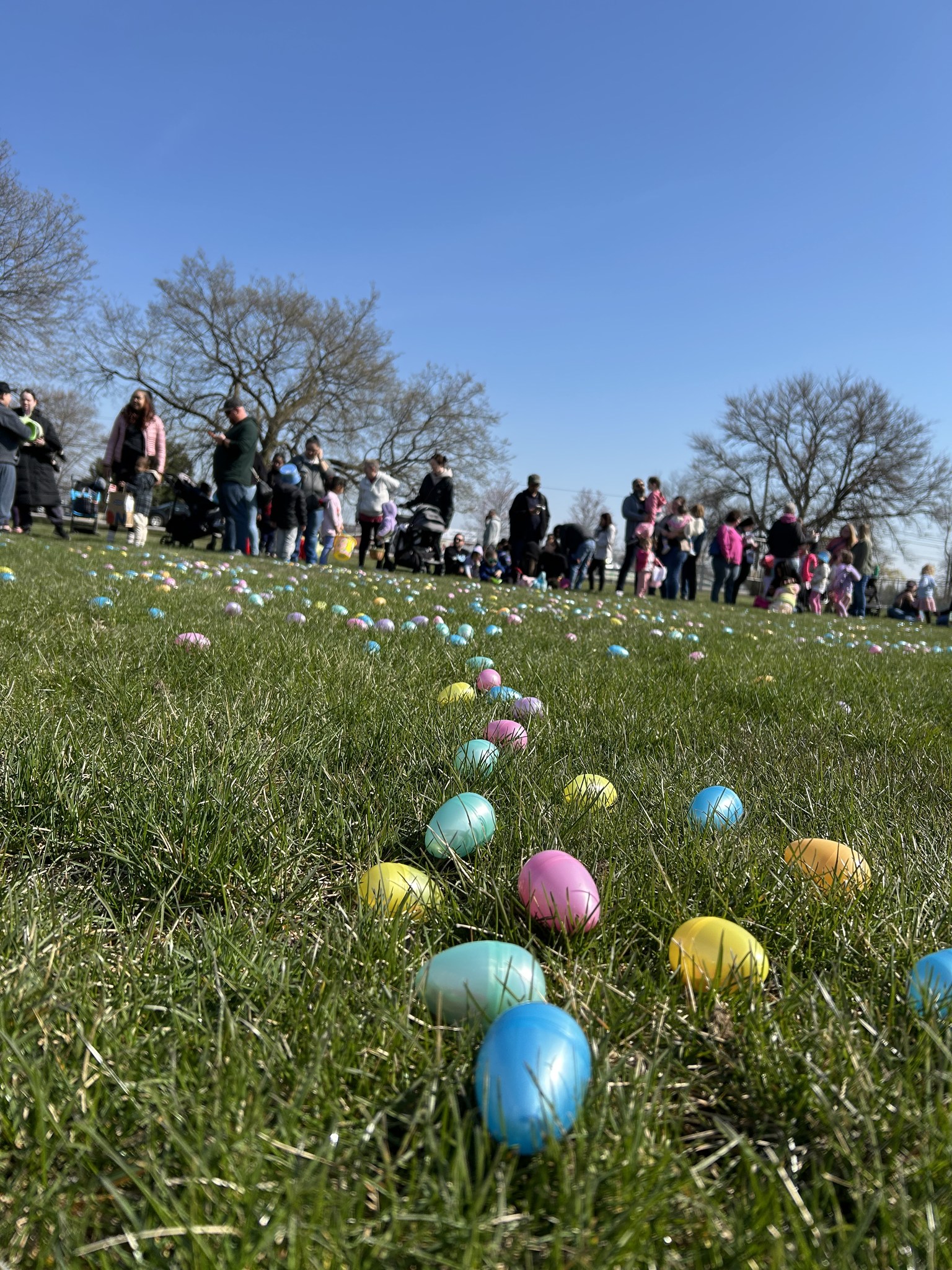 EGG HUNT 