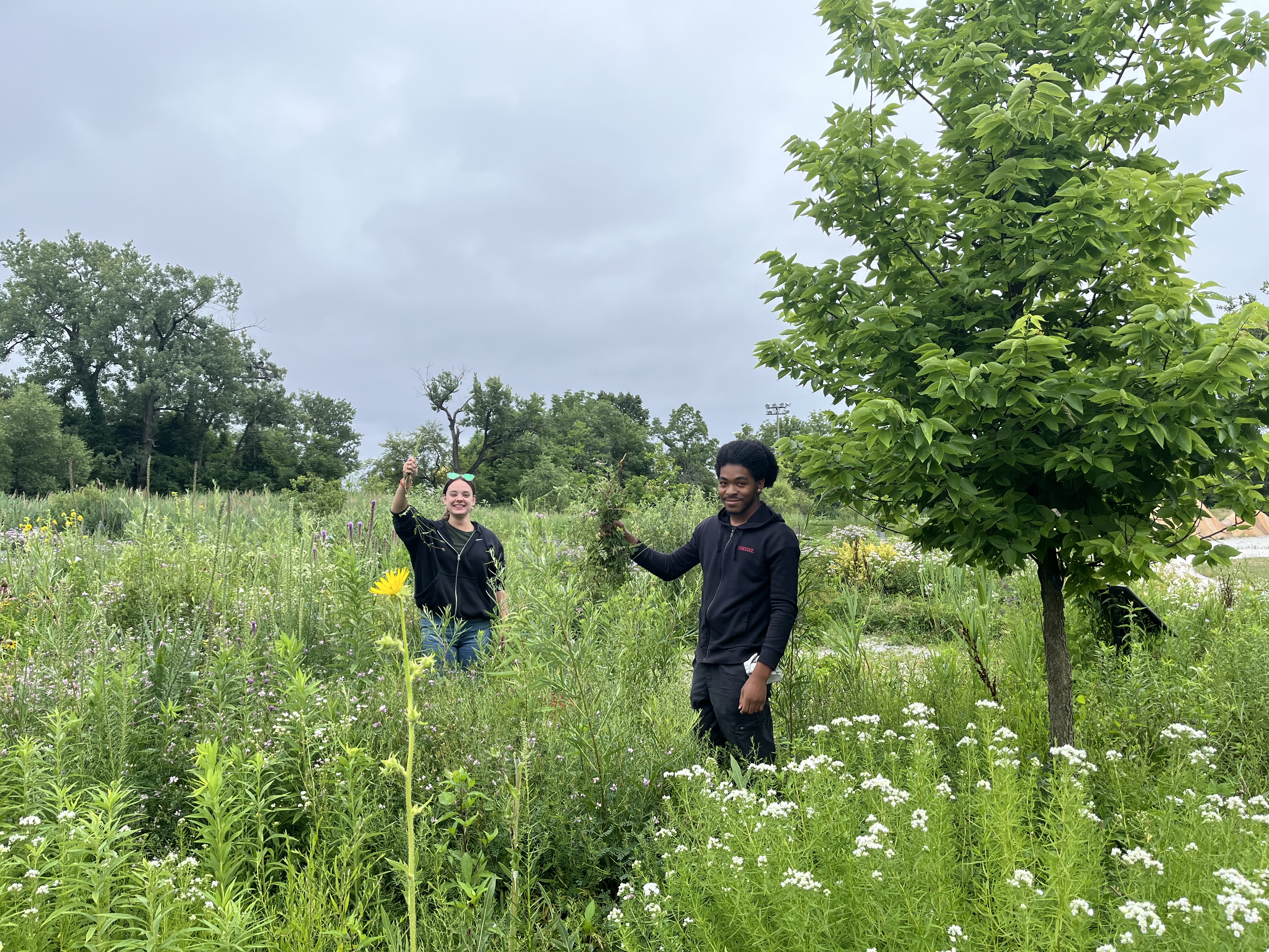 GREEN LAKE GARDENING