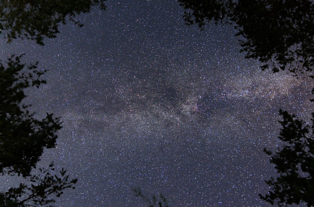 SUMMER SOLSTICE NIGHT HIKE