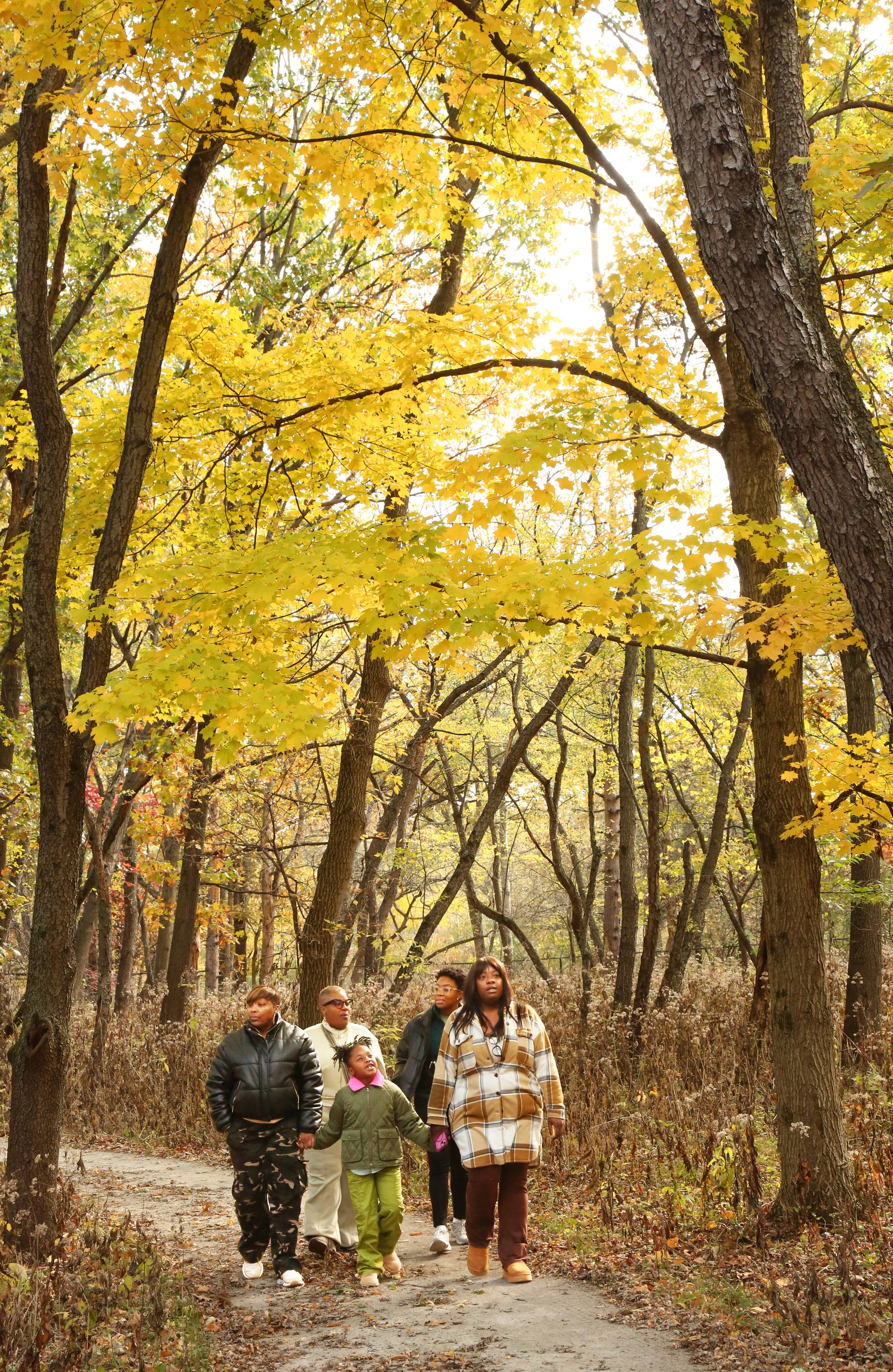 LIVE HEALTHY, DISCOVER NATURE! WALK