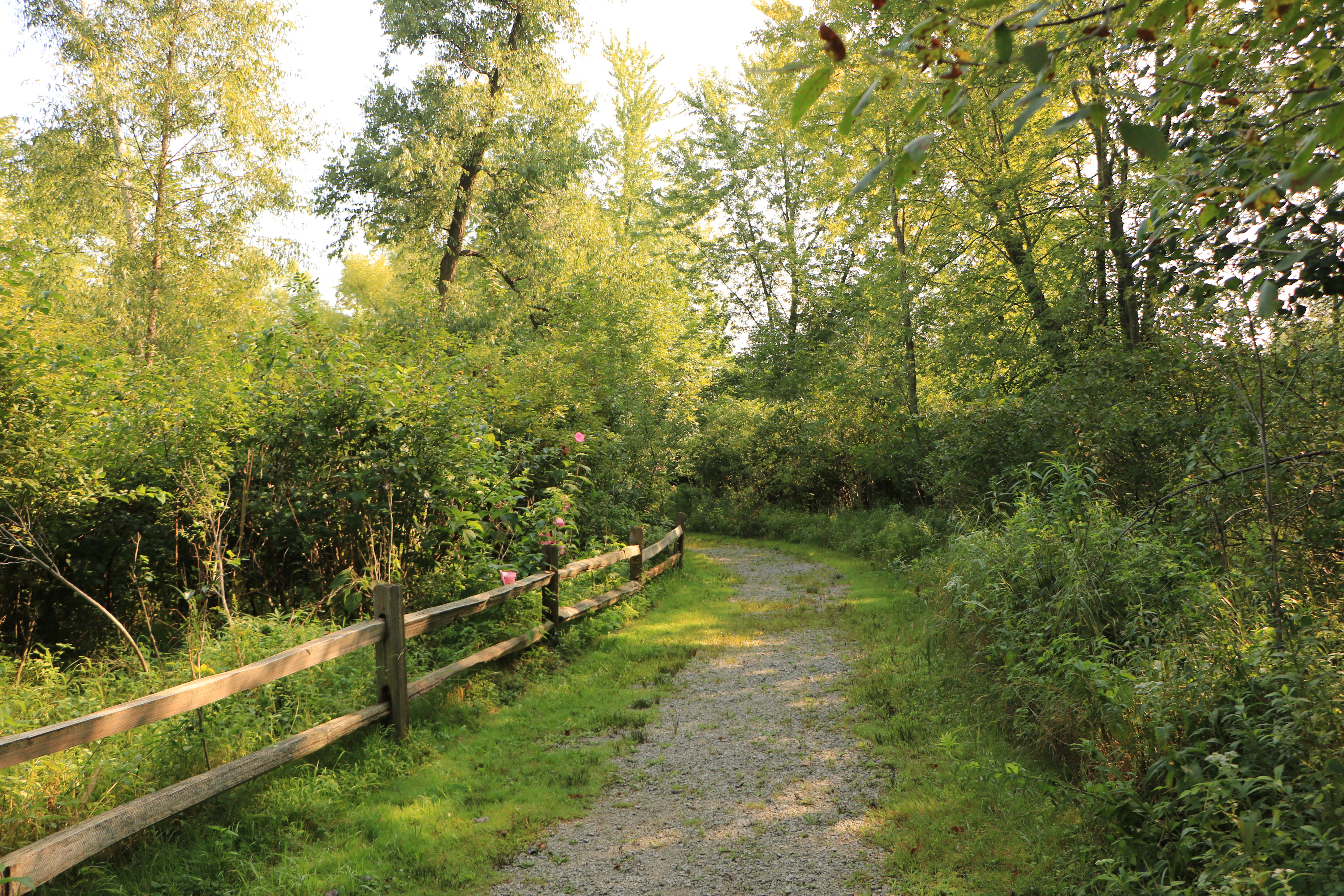 LIVE HEALTHY, DISCOVER NATURE! WALK