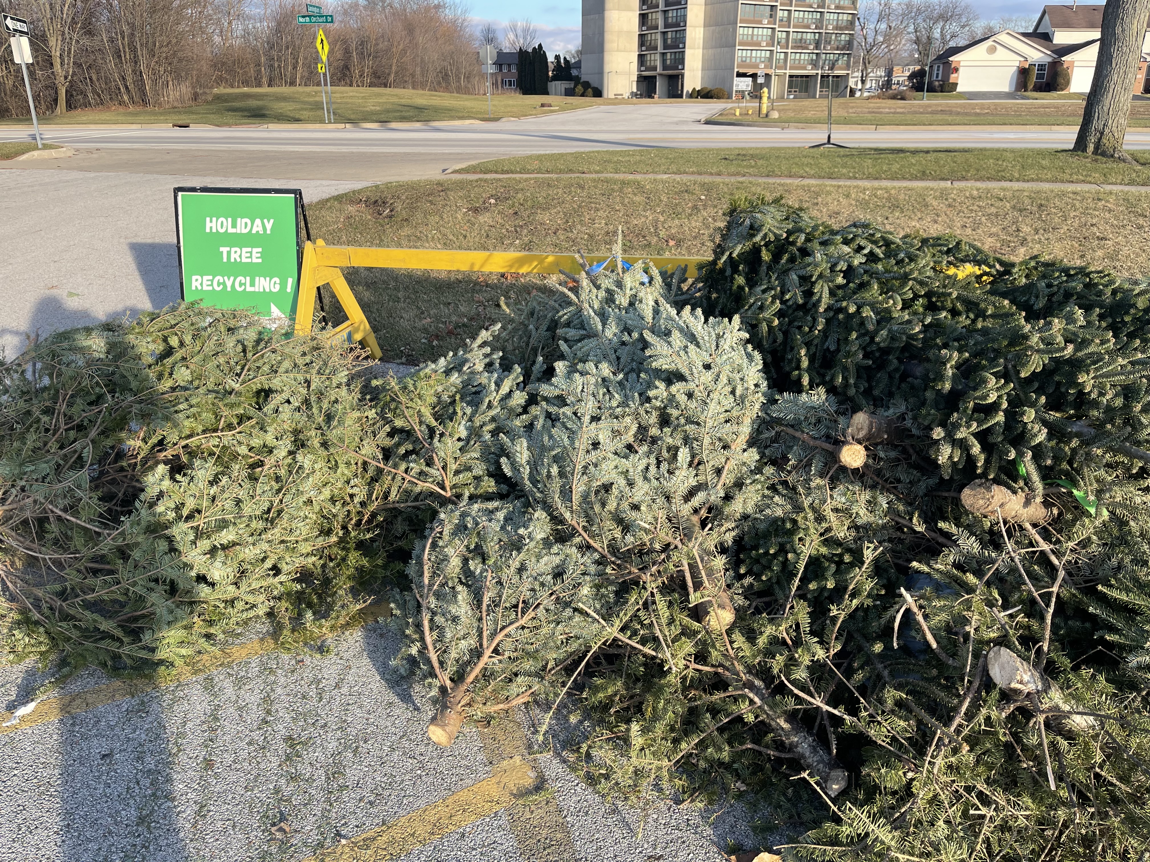 HOLIDAY TREE RECYCLING PROGRAM