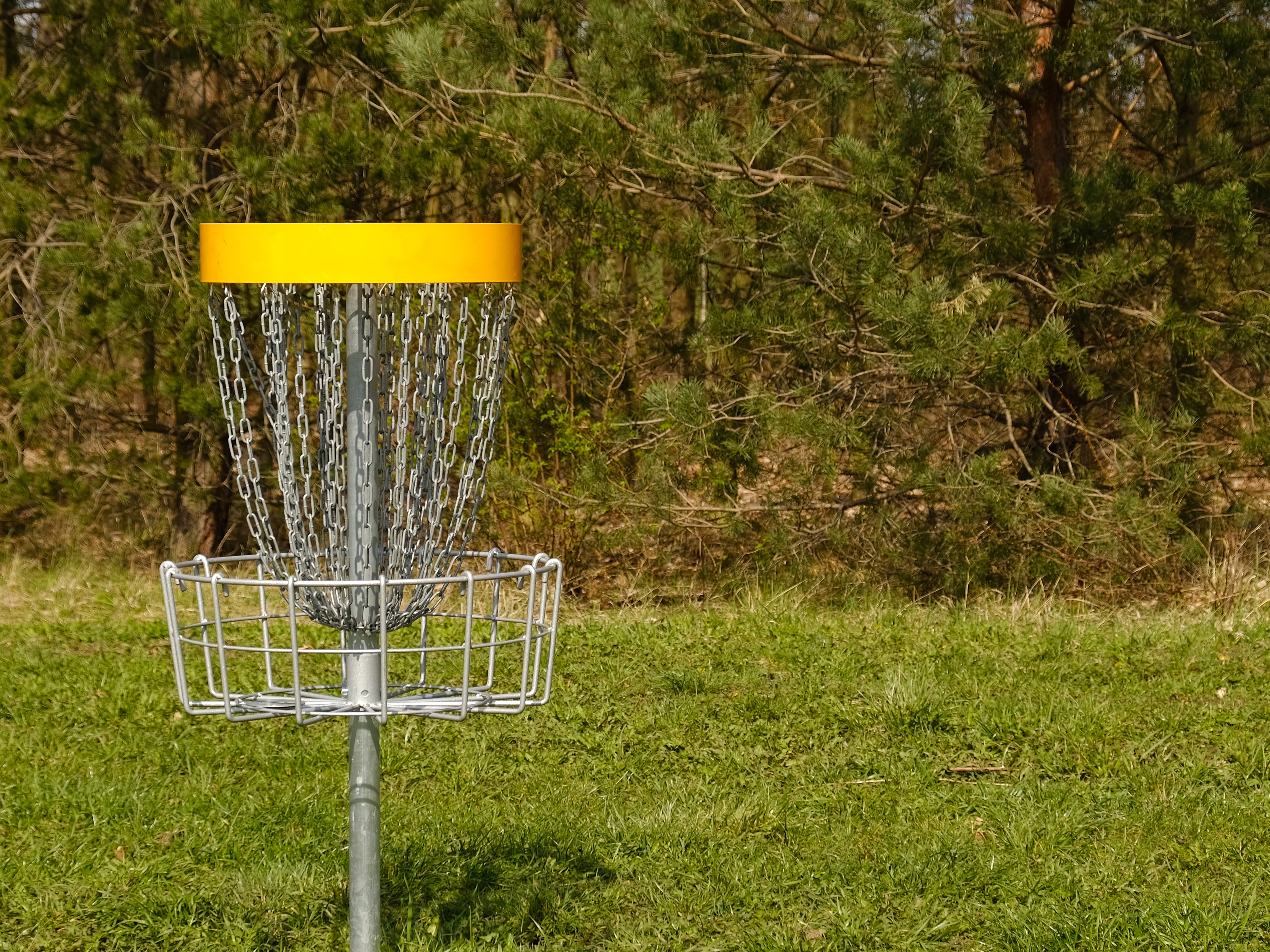 DISC GOLF TOURNAMENT: ROOKIE ROUND