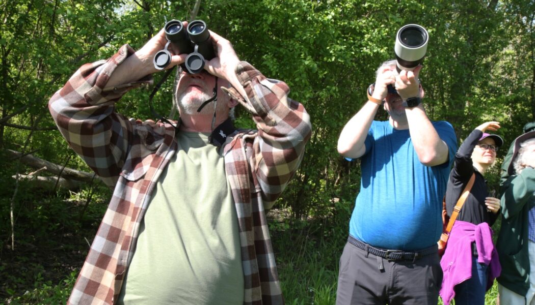 BE A BETTER BIRDER: GETTING STARTED