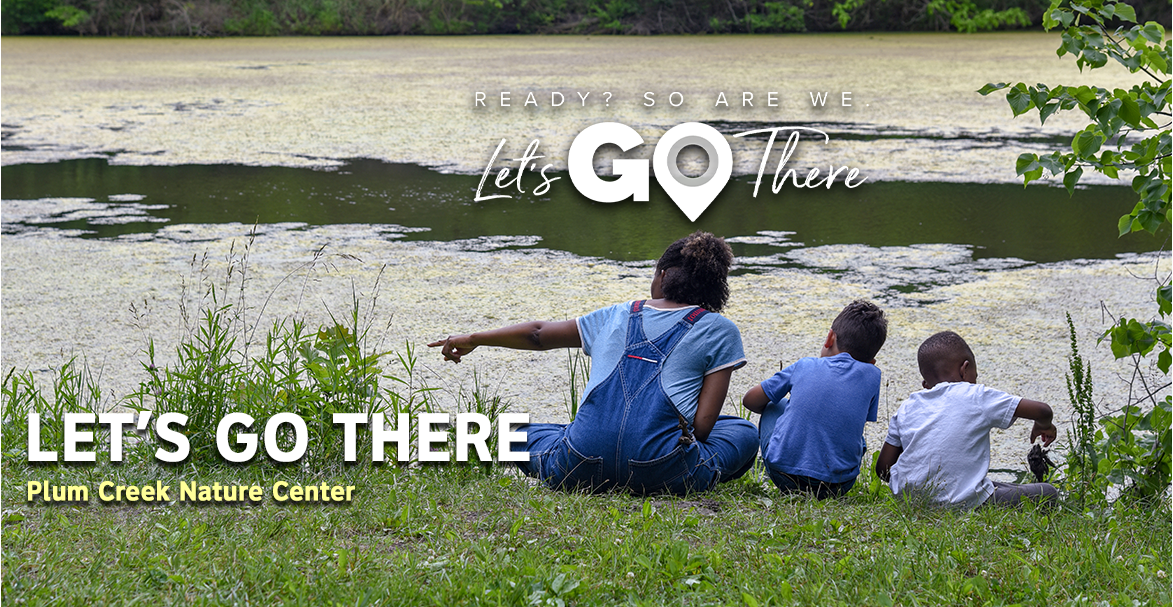 Photo: LGT-Summer-001.png